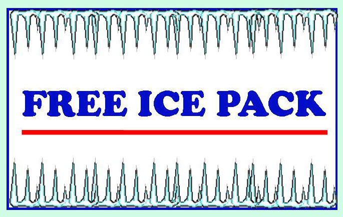 free ice pack with first chiropractic treatment