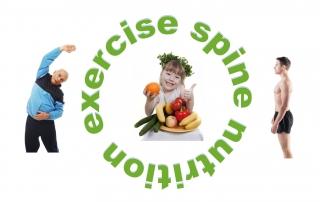 Exercise Nutrition Exercise